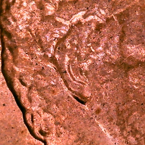 1984 penny close up on ear image (1)